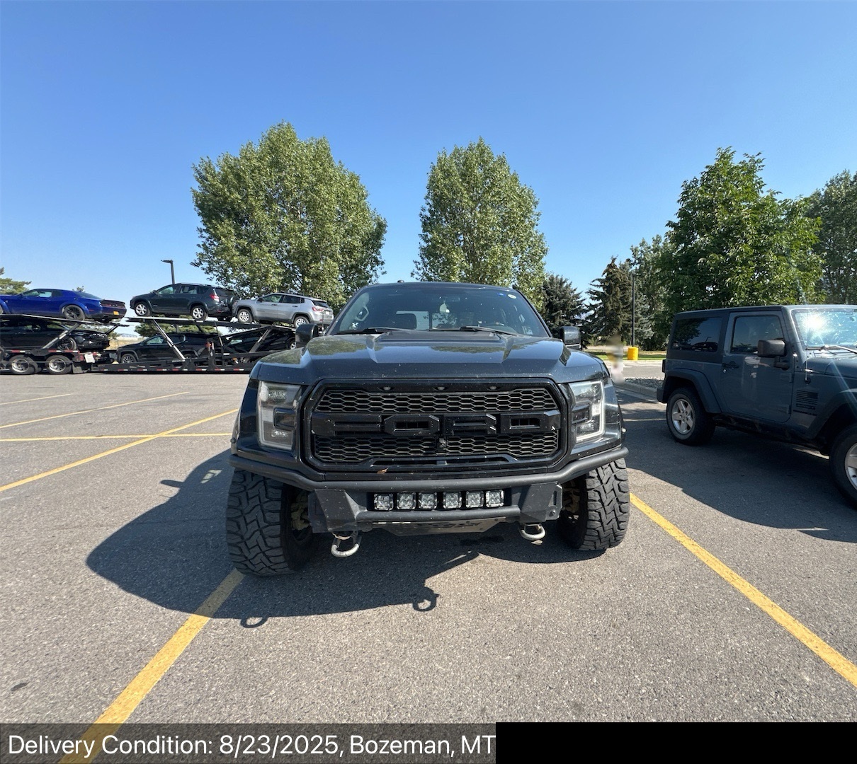 Shamrock Logistics Auto Transport Delivery