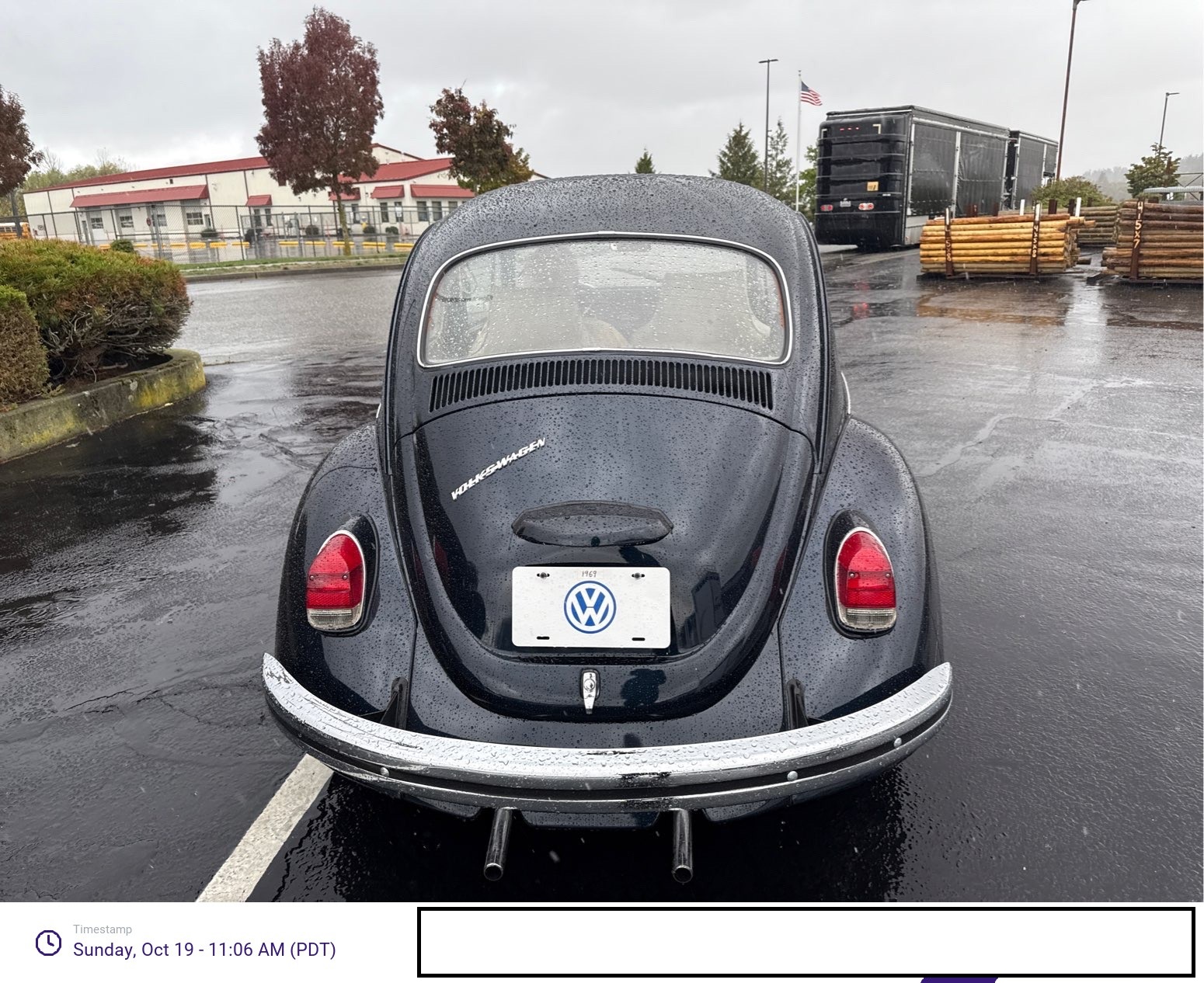 Shamrock Logistics Auto Transport Delivery